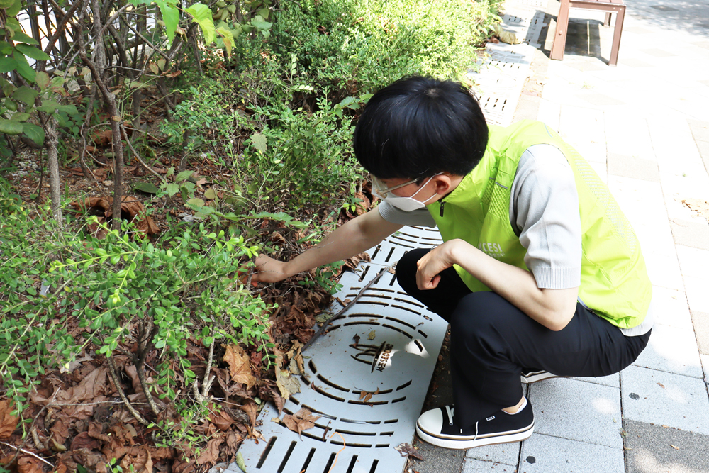 나무돌보미 - 화단쪽 쓰레기 줍는 사진